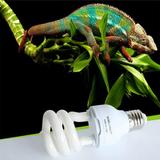 Energy Saving Lamps UVB Bulb Spiral Compact 26 Watts UVB 5.0/10.0 Reptile Light Bulb Fit for Desert Type Reptile/Snake/Lizard/Insect/Leopard Tortoise