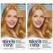 Pack of (2) Clairol Nicen Easy Permanent Hair Dye 8G Medium Golden Blonde Hair Color