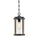 Westinghouse Armin One-Light Outdoor Pendant Textured Black Finish with Barnwood Accents and Clear Seeded Glass