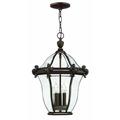 3 Light Large Outdoor Hanging Lantern in Traditional-Glam Style 14 inches Wide By 20 inches High-Copper Bronze Finish Bailey Street Home