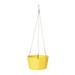 Plastic lazy self suction hanging basket basin hanging basin hanging pot hanging flowerpot Nordic hydroponic vessels hanging orchid basin