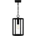 Quoizel Hazel 1-Light Earth Black Mini Pendant