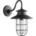 Shirley Paddock 1 Light Medium Outdoor Wall Lantern in Transitional Style 9.5 inches Wide By 15.75 inches High-Noir Finish Bailey Street Home