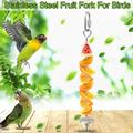 CFXNMZGR Garden Bird Feeders Bird Food Holder Tainless Steel Parrot Fruit Vegetable Stick Holder Treat Skewer