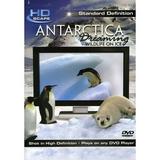 Antarctica Dreaming: Wildlife On Ice