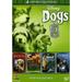 Disney Dogs 2: 4-Movie Collection (DVD) Walt Disney Video Kids & Family