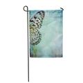 KDAGR Brown Abstract Vintage Shabby Chic with Butterfly Aged Antique Antique Drawing Garden Flag Decorative Flag House Banner 12x18 inch