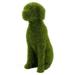 Sunisery Dog Statues Peeing Dog Statue Flocking Dog Solar Garden Statue Decorative for Patio Yard Lawn Ornament Housewarming Gift