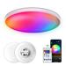 30W Intelligent RGB Dimming Ceiling Lamp Wi-fi+BT 2.4G Remote Controlling Built-in Microphone & Music Player Voice Control Dome Light