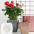 Cheer US Self Watering Pots for Indoor Plants Flower Pots Outdoor Self Watering Planter Plant Pots with Decorative Stones Flower Pot Plant Pots Indoor Flower Pots Indoor