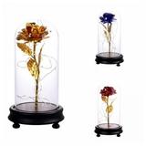 Patgoal LED Lamp Light Love Forever Flower Beauty and The Beast Rose Romantic Gifts for Girlfriend Wife Women Valentines Day Mothers Day Anniversary Birthday