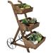 Sunnydaze 3-Tier Fir Wooden Plant Stand with Wheels - Brown - 39.25 H