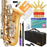 Lazarro 360-LN Professional Gold Body Silver Keys Eb E Flat Alto Saxophone with 11 Reeds Case and Many Extras