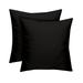 RSH DÃ©cor Indoor Outdoor Set of 2 Pillows 20 x 20 Black