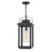 1 Light Medium Outdoor Hanging Lantern in Traditional-Coastal Style 9.5 inches Wide By 21.5 inches High-Black Finish-Incandescent Lamping Type-E26