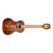 Kala KA-SA-T Solid Acacia Tenor Ukulele