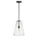 Hinkley Lighting - One Light Pendant - Vance - One Light Medium Pendant in