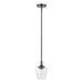 46721-46-Livex Lighting-Willow - 1 Light Pendant In Transitional Style-16.5 Inches Tall and 5.75 Inches Wide-Black Chrome Finish