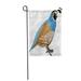 KDAGR Blue Bird Cartoon Quail Simple Gradients Yellow Black Garden Flag Decorative Flag House Banner 28x40 inch