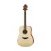 Crafter Silver Series 250 Dreadnought Acoustic Electric Guitar - Spruce