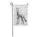 KDAGR Red Fox Bushy Tail Pencil That is and This Cute Wild Standing Head Garden Flag Decorative Flag House Banner 28x40 inch