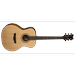 Dean St. Augustine Concert Solid Wood Acoustic/Electric SN