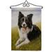 Border Collie Garden Flag Set Dog 13 X18.5 Double-Sided Yard Banner