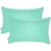 Pack of 2 Outdoor Decorative Throw Pillows 12 x 18 inch Solid Aqua Lumbar Pillows (12 x 18 Solid Aqua)