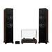 Fluance RT82 Vinyl Turntable PA10 Preamp Ai81 Powered Floorstanding Speakers