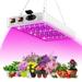 Abanopi 2000W LED Grow Light for Indoor Plants 312 LEDs Full Spectrum Veg and Bloom Dual Switch IP65 Waterproof Hanging Plant Growing Lamps for Seedlings Flowers Greenhouse