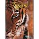 Discovery Channel Quest: Living with Tigers (DVD 2003) NEW