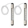 Pentair R141036 127 Tube Thermometer with ABS Case