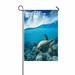 PKQWTM Sea Turtle Loggerhead Floating Over Corals Tropical Paradise Yard Decor Home Garden Flag Size 28x40 Inches