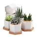 Succulent Plant Pots EFINNY 2.75 inch Mini Succulent Planter Set of 6 White Ceramic Succulent Cactus Planter Pots with Bamboo Tray (Plants NOT Included)
