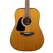 Takamine GD30 Left-Handed Acoustic Guitar