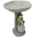 Sunnydaze Polyresin Brooding Frog on Stone Outdoor Garden Bird Bath