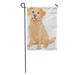 LADDKE Red Labrador of Cute Golden Retriever Dog Puppy Cartoon Tongue Garden Flag Decorative Flag House Banner 28x40 inch