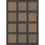 Couristan Recife Summit Indoor/Outdoor Area Rug - Cocoa/Black