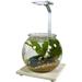 Penn-Plax Eco-Sphere Fishbowl and LED Light Kit â€“ 1.1 Gallon