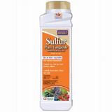 Bonide Products # 141 1 LB Sulfur Dust Plant Fungicide - Quantity of 3