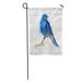 SIDONKU Yellow White Bird Bluebird Watercolor Blooming Feathers Flower Garden Flag Decorative Flag House Banner 12x18 inch