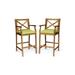 Sanger Outdoor Acacia Wood Barstools with Cushion Set of 2 Teak and Green