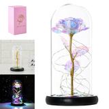ZTOO Rose Flower Lamp Romantic Night Light in Glass Dome with LED String Lights for Anniversary and Birthday Wedding Valentine s Day Mother s Day
