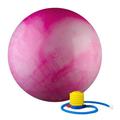 75 cm Static Strength Exercise Stability Ball with Pump Multi-Colored Pink