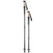 Walking Poles Set of 2