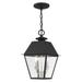 Livex Lighting - Mansfield - 2 Light Outdoor Pendant Lantern - Livex Lighting