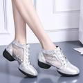 Women Shoes Casual Comfortable Dance Shoes For Womens Latin Dance Shoes Heeled Ballroom Salsa Tango Party Sequin Dance Shoes Silver 8.5