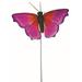 A Multi-Color Butterfly Garden Stake