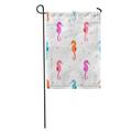 SIDONKU Pattern Watercolor Sea Horses Colorful Seahorse Ocean Abstract Aquatic Garden Flag Decorative Flag House Banner 28x40 inch