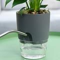 Travelwant Self Watering Planters Plant Pots Self Watering Pots Planters for Indoor Plants Plastic Flower Pot with a Watering Bottle